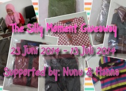 Banner-giveaway-silly-moment